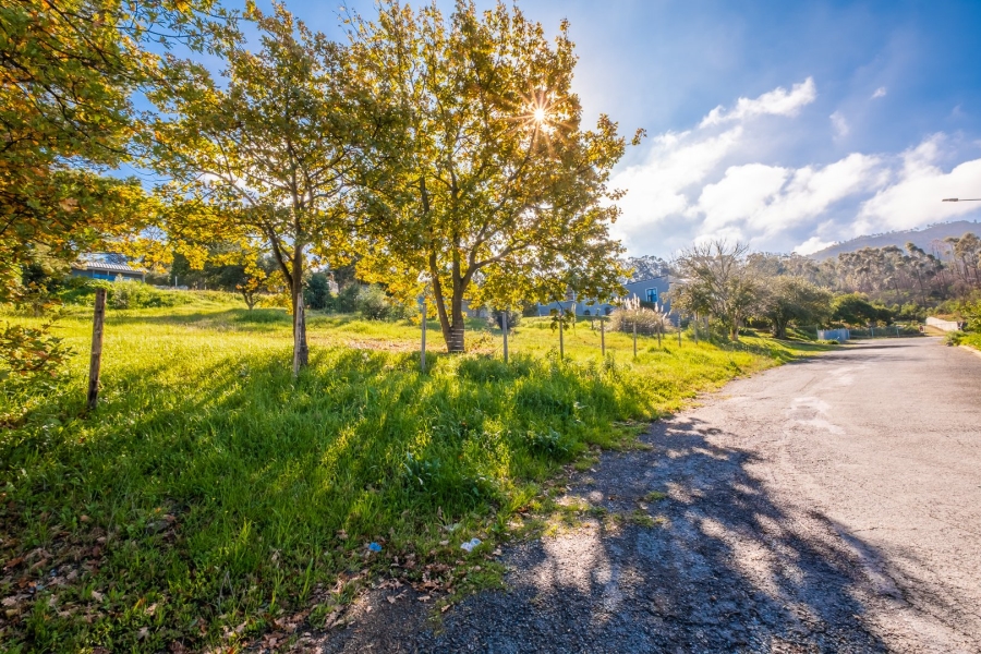 Commercial Property for Sale in Caledon Western Cape